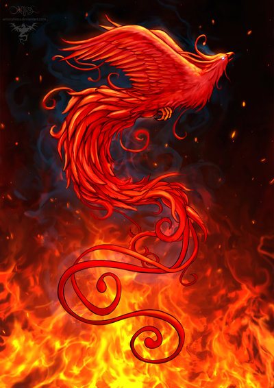 phoenix_design2_background_by_amorphisss-d7cvig9
